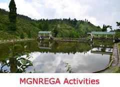 Activities under MGNREGA
