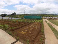 Kitchen Garden at Mookynniang VEC, Thadlaskein C&RD, West Jaintia Hills, FY 2017-18, Total Exdpenditure: Rs.16,81,500
